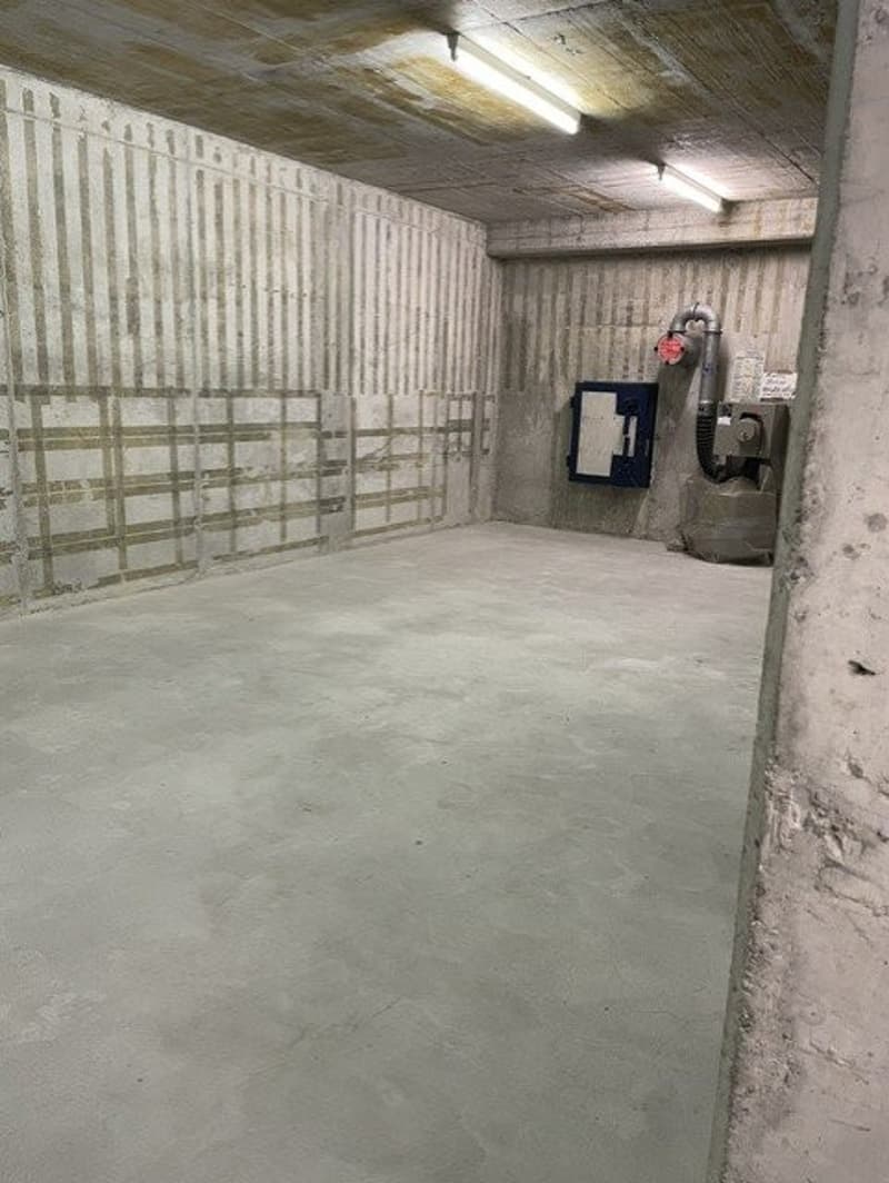 Grosszügiger Lagerraum in der Industriezone von Dietikon zu vermieten (4)