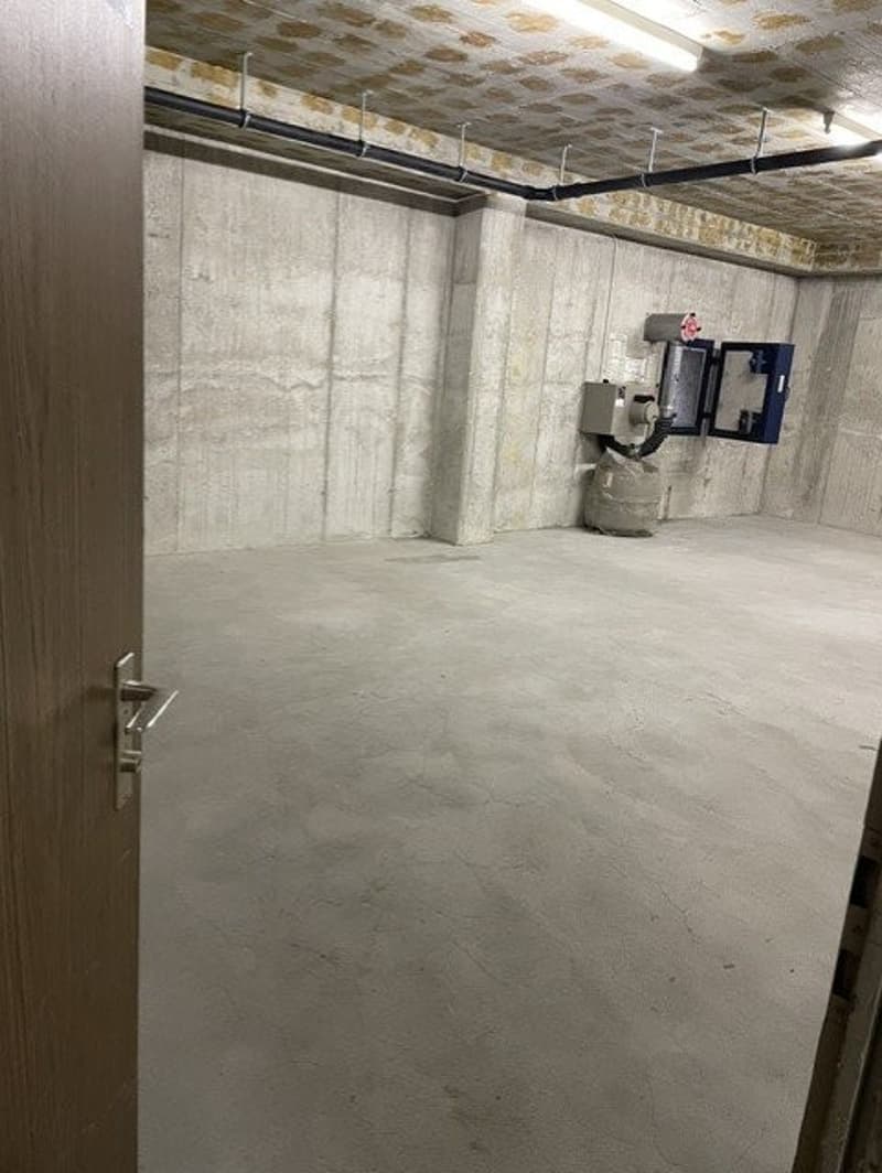 Grosszügiger Lagerraum in der Industriezone von Dietikon zu vermieten (3)