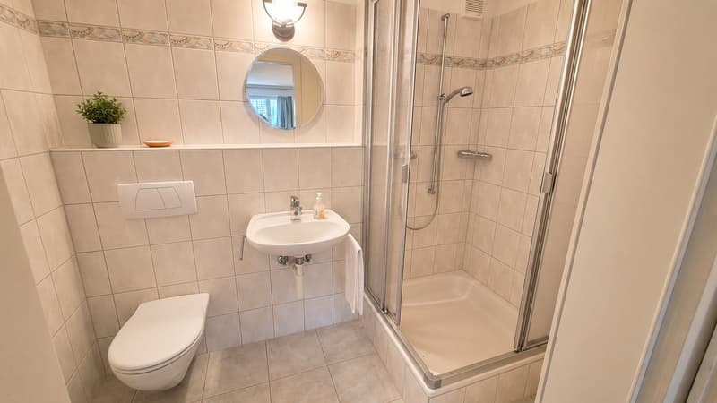 Charmante 5.5-Zimmer-Doppeleinfamilienhaushälfte im Landhausstil mit vielseitigen Nutzungsmöglichkeiten (11)
