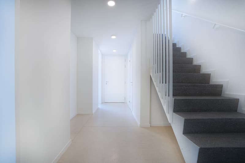 Helle 4.5-Zimmer-Neubauwohnung an der Triemlistrasse 90 - Erstvermietung (5)
