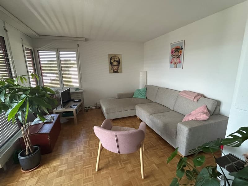 Helle Wohnung mit Ausblick zu vermieten (4)