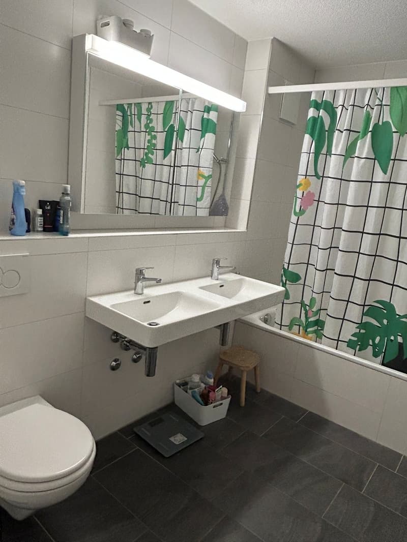 Helle Wohnung mit Ausblick zu vermieten (7)