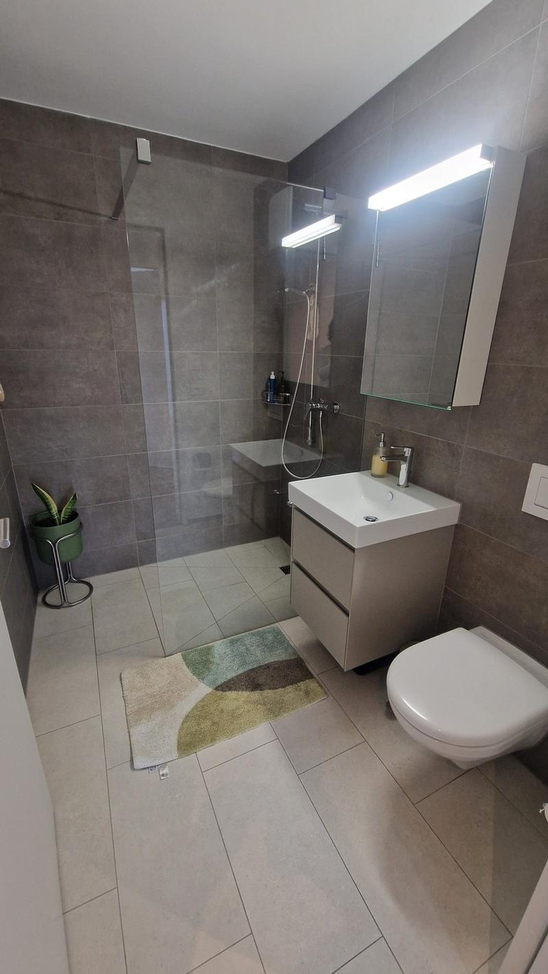 Exklusive 4.5-Zimmer-Wohnung in Niederweningen (8)