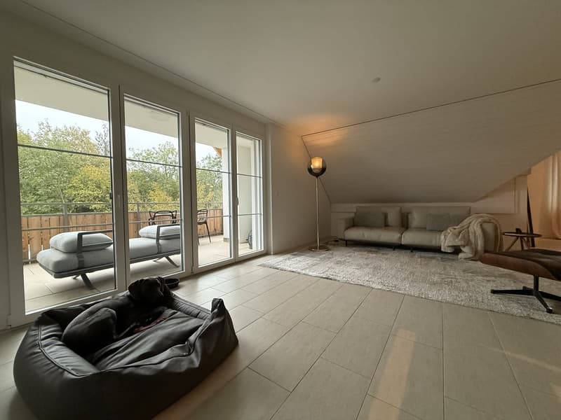 Grosszügige Dachmaisonette-Wohnung (4)