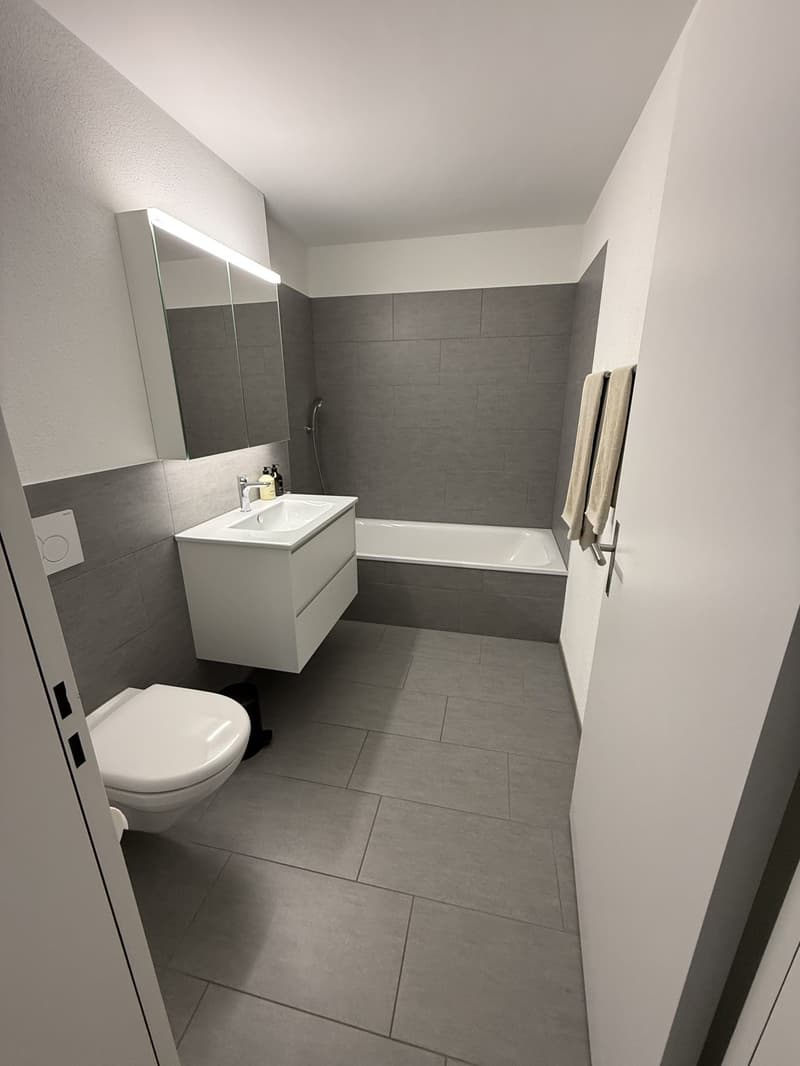 Grosszügige Dachmaisonette-Wohnung (13)