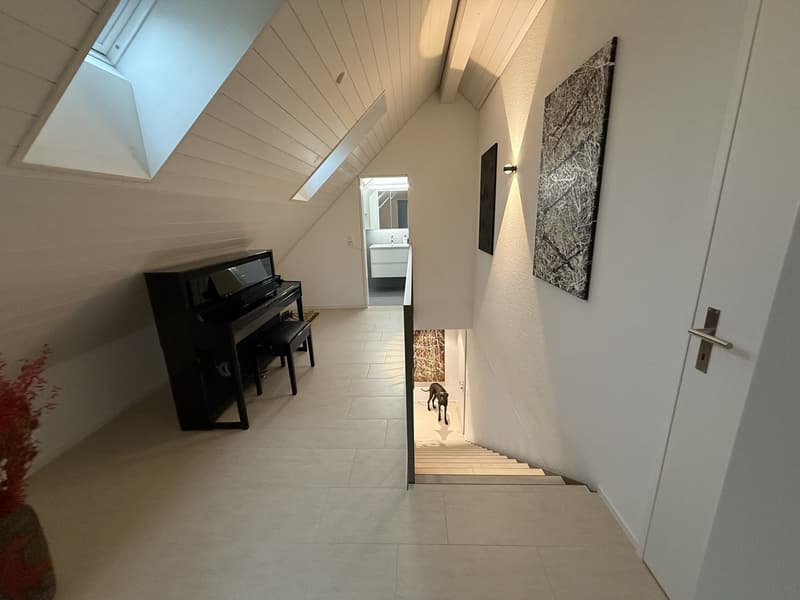 Grosszügige Dachmaisonette-Wohnung (11)