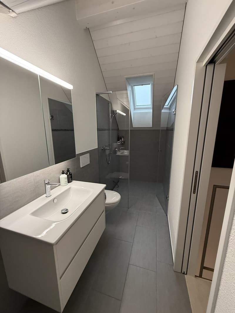 Grosszügige Dachmaisonette-Wohnung (12)