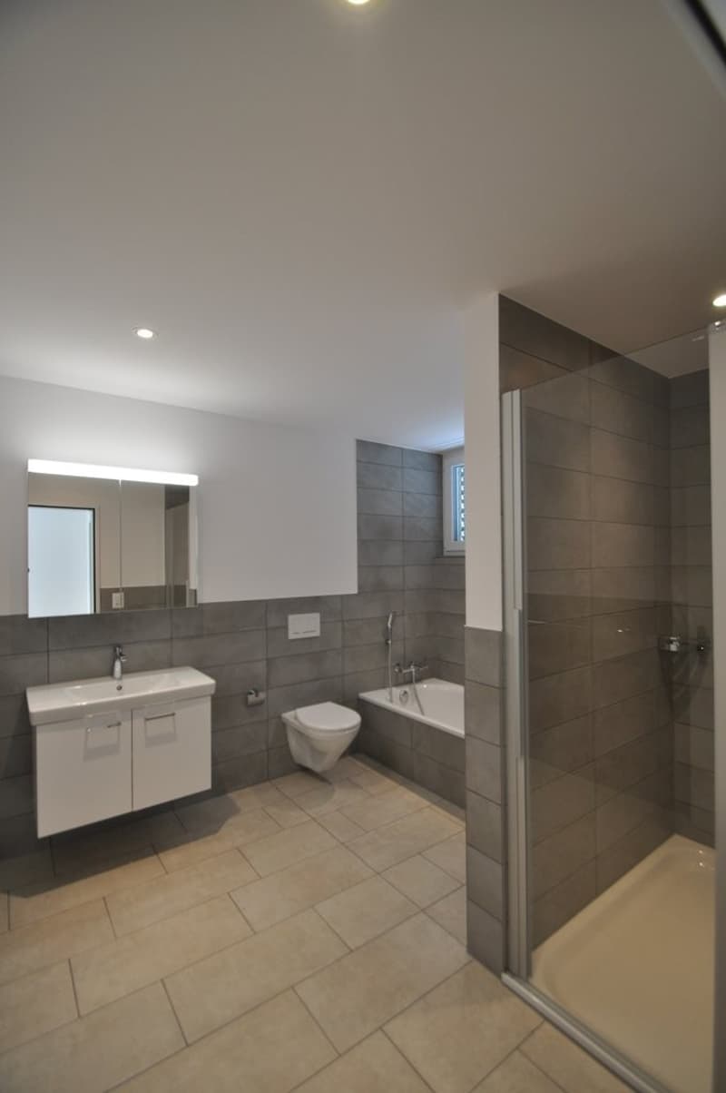 2.5 Zimmer-Attikawohnung in Erlinsbach SO (6)