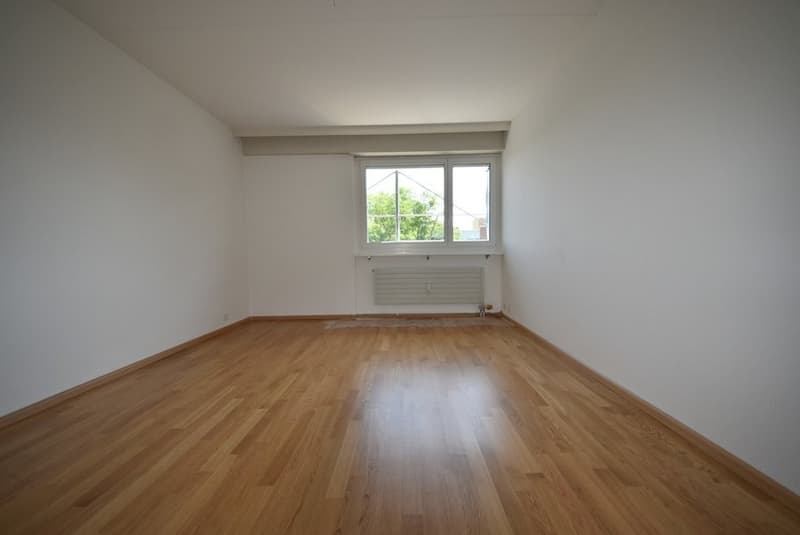 Zimmer