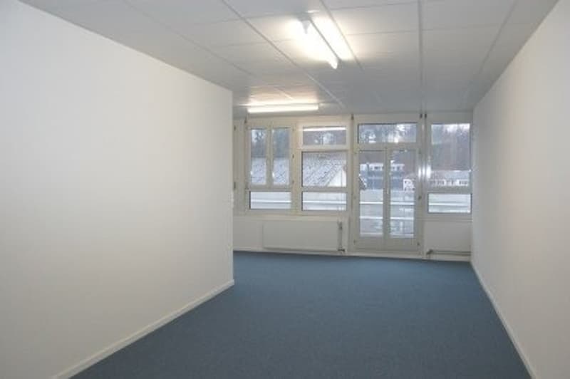 Espace de bureau/commercial au cœur de la zone de Dreispitz (3)