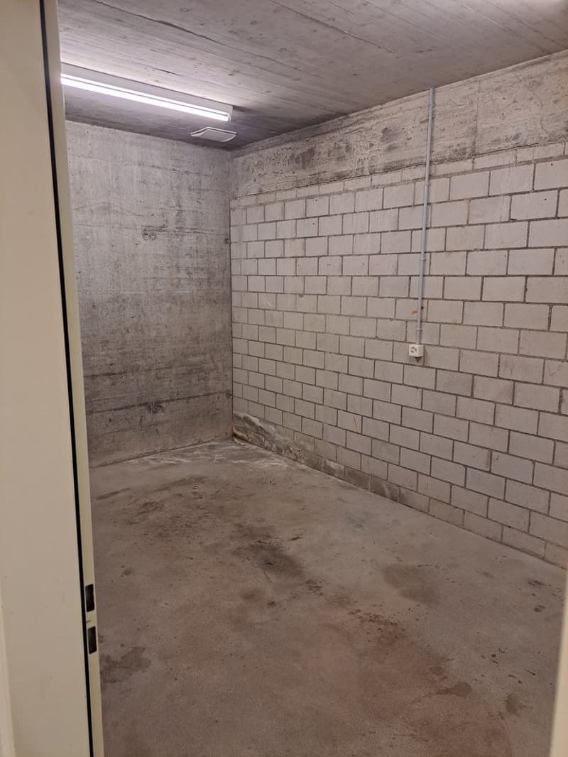 Foto_3.jpg