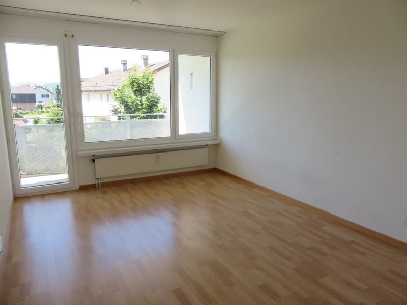 Zimmer3