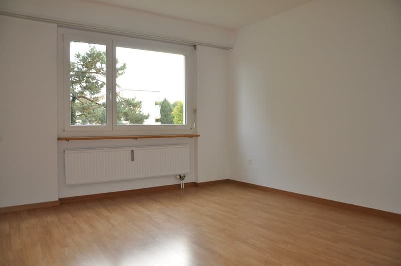 Zimmer