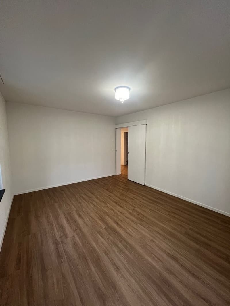 Zimmer.jpg