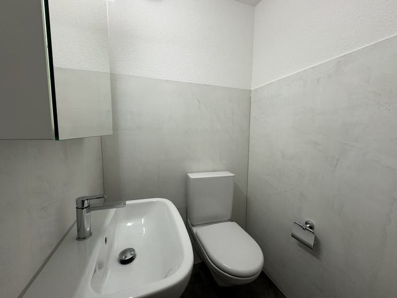 separates WC