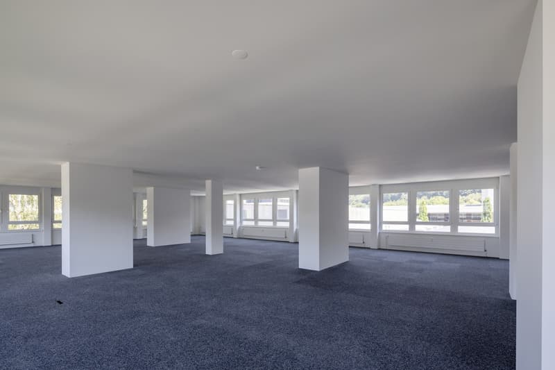 Raum für Ideen, Wachstum und Zusammenarbeit - Büro nahe Stadt Bern (4)