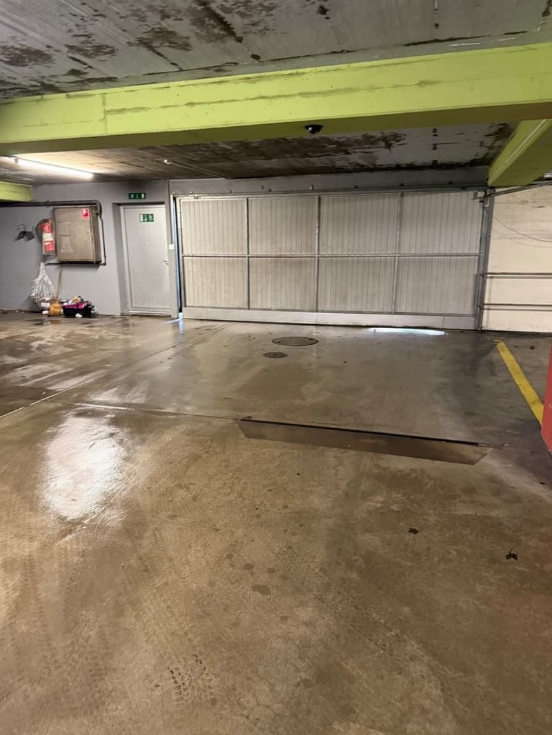Garagenausfahrt.jpg