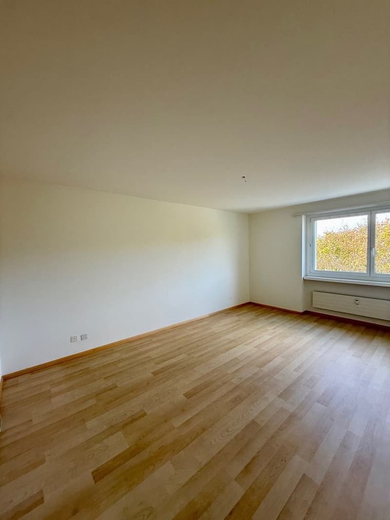 Zimmer_3.jpg