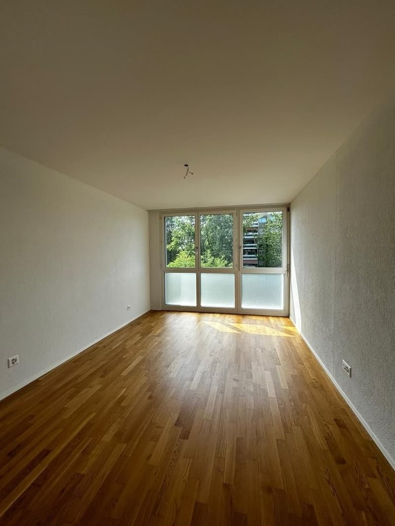 Zimmer_1.jpg