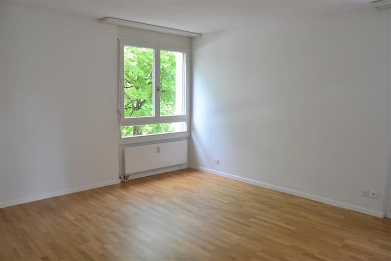 Zimmer