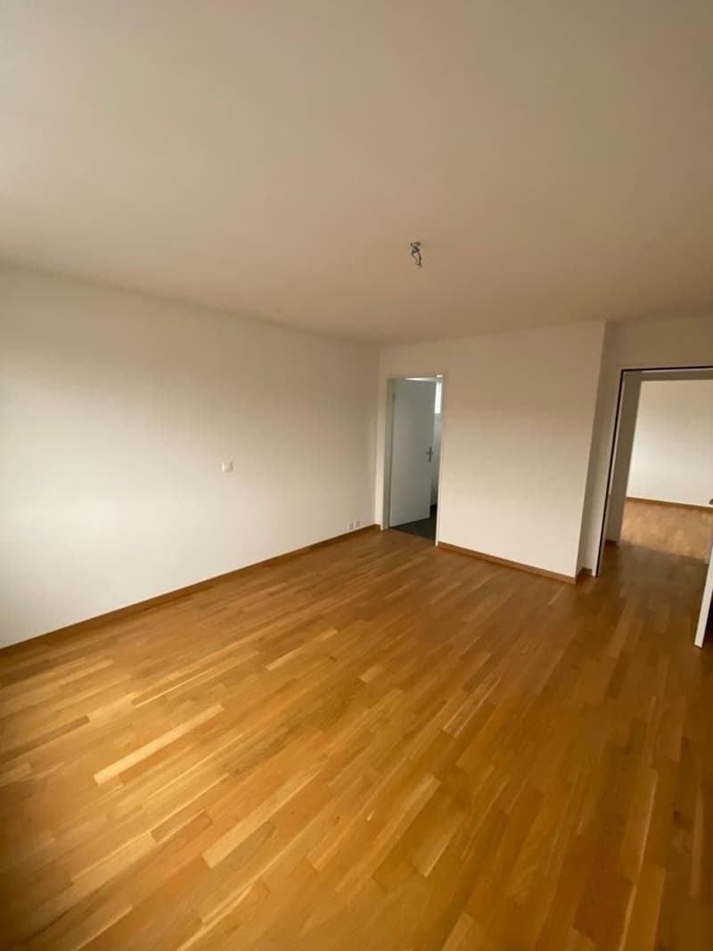 Zimmer
