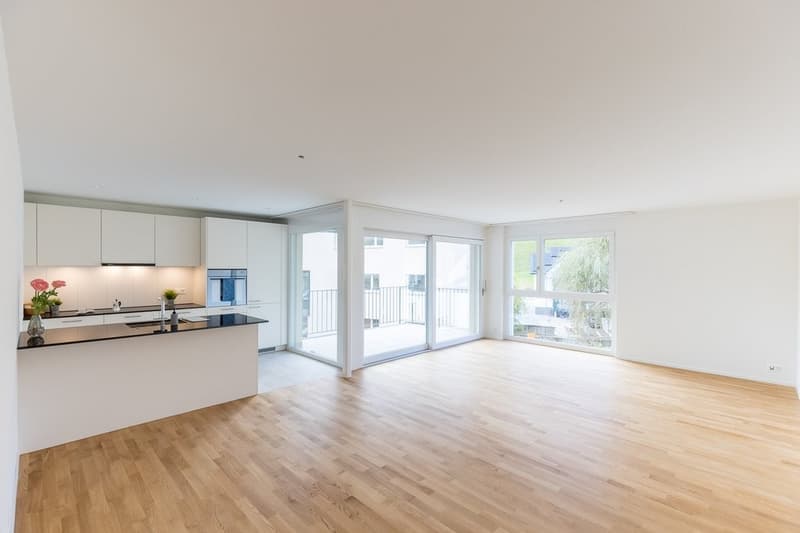 Wohnzimmer/Küche
