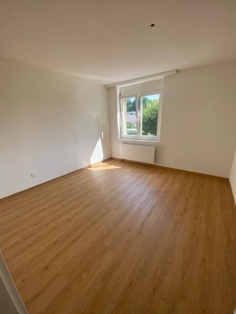 Zimmer