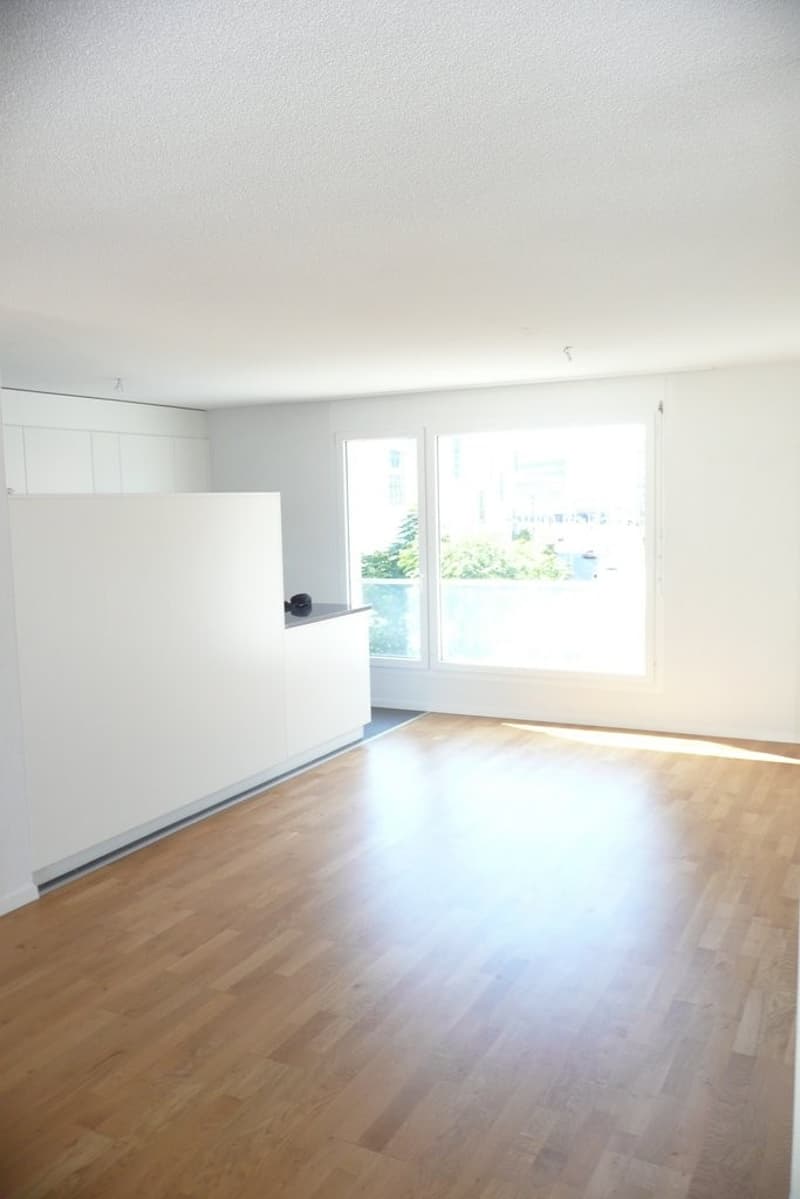 Wohnzimmer / Küche