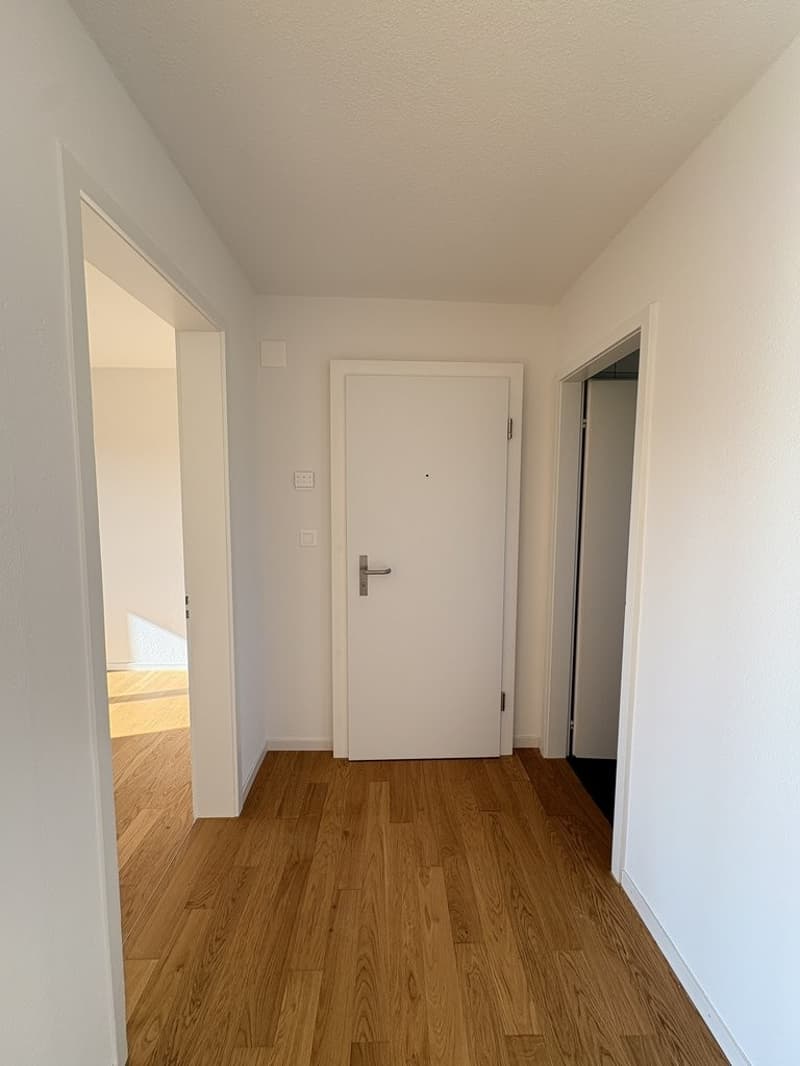 Klein aber fein! (6)