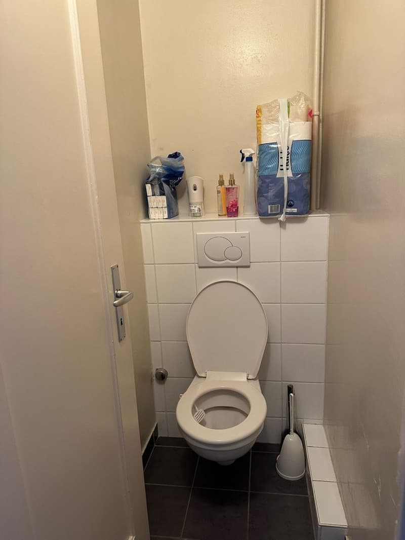 toilette.jpg