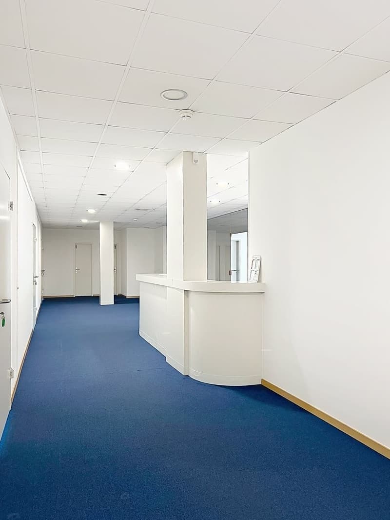 Bureaux lumineux au coeur de Nyon (3)