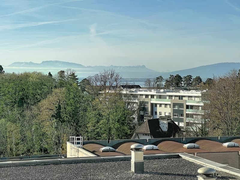 Bureaux lumineux au coeur de Nyon (6)