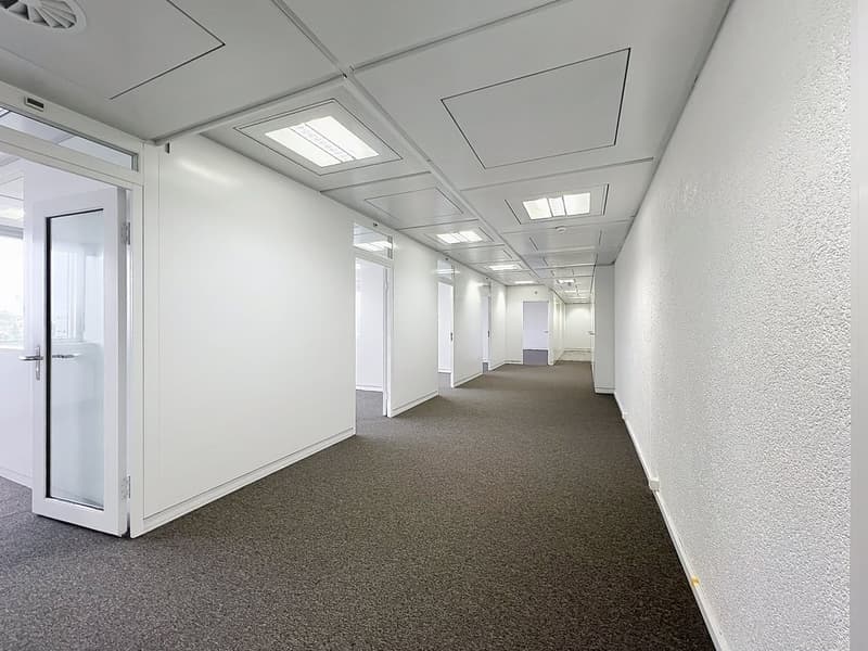 Surface lumineuse de 264 m2 à deux pas de l aéroport (2)