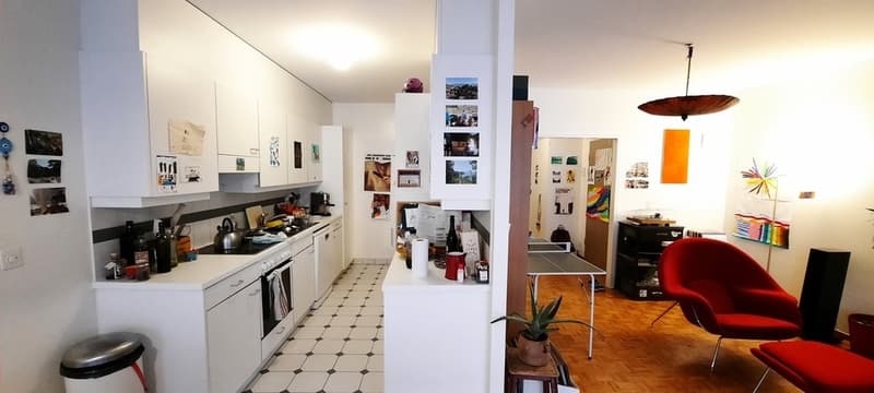 Sublime appartement dans quartier calme et proche du centre-ville (3)