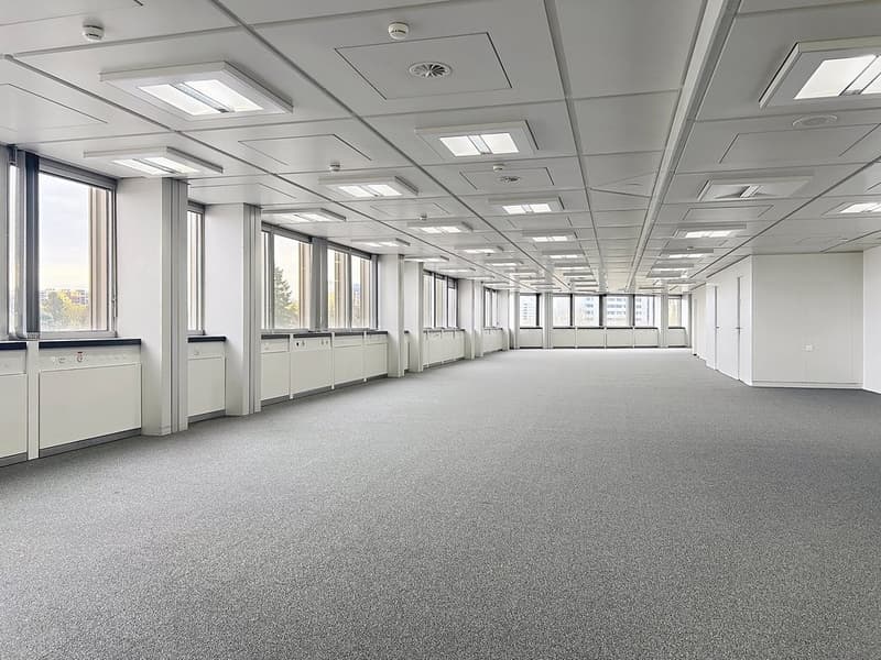 Surface 730 m2