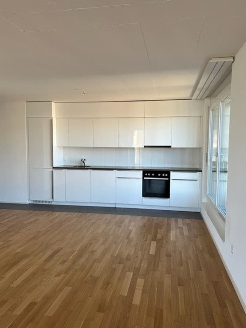 A saisir ! Superbe appartement moderne à Fribourg ! (4)