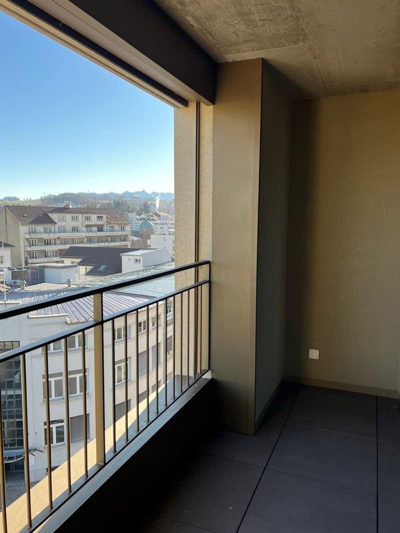 A saisir ! Superbe appartement moderne à Fribourg ! (9)