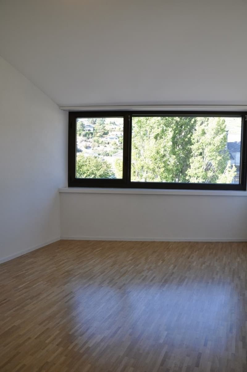 A saisir ! Lumineux appartement en centre-ville de Sion ! (4)
