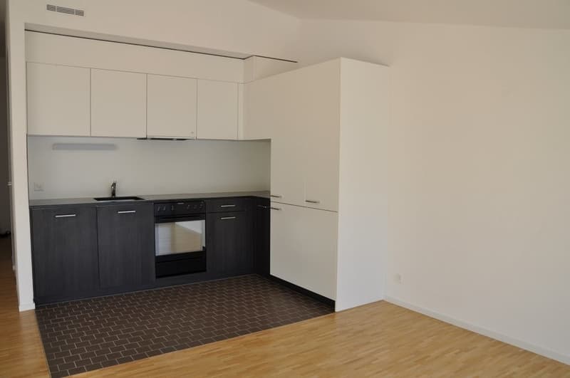 A saisir ! Lumineux appartement en centre-ville de Sion ! (3)