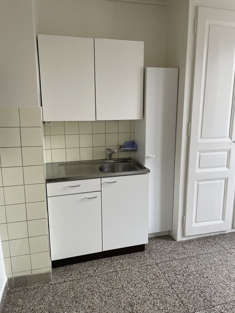 A saisir ! Magnifique logement au coeur de Genève ! (4)