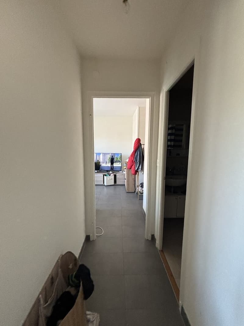 IMG_0113.jpeg