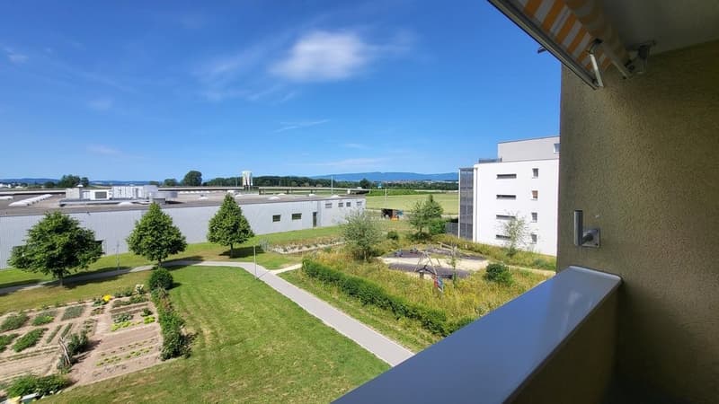 Vue.jpg