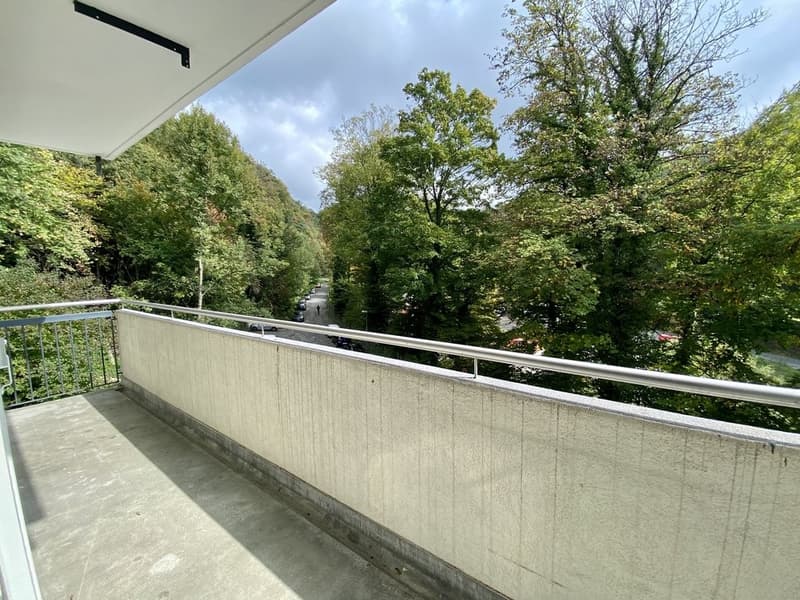 29041.01.420030_-_Balcon.jpeg