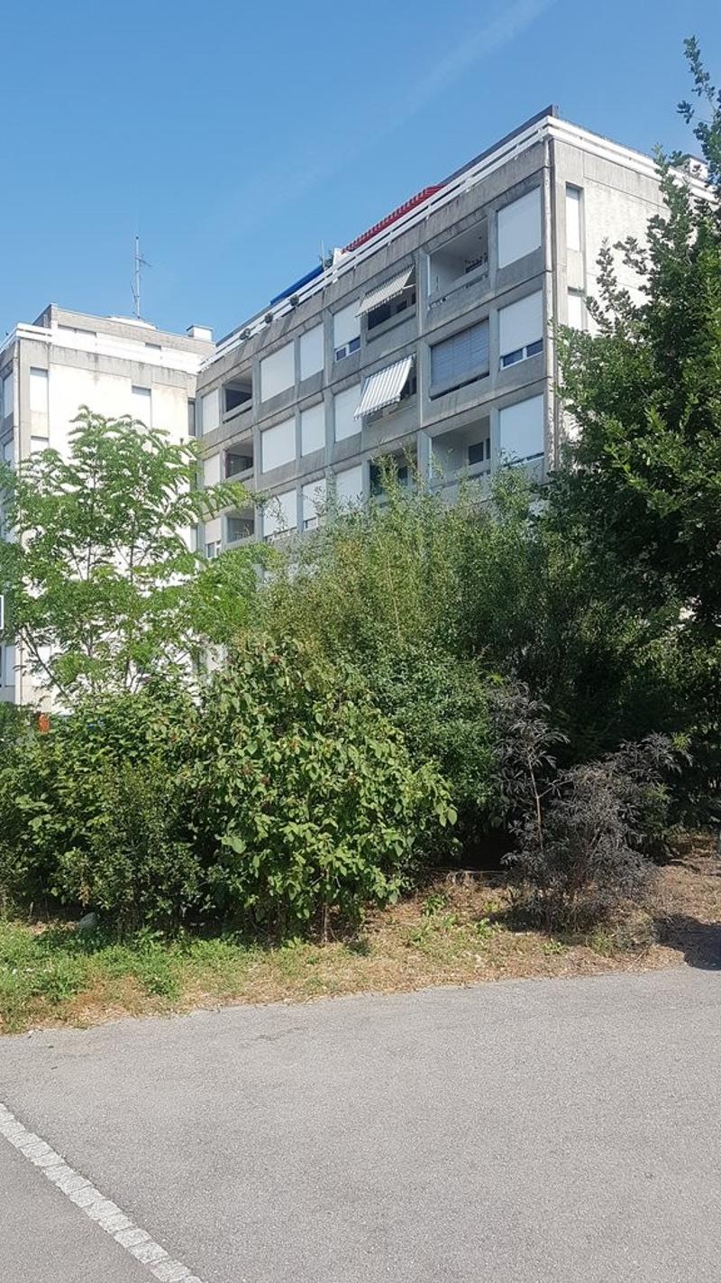 20190725_111605.jpg