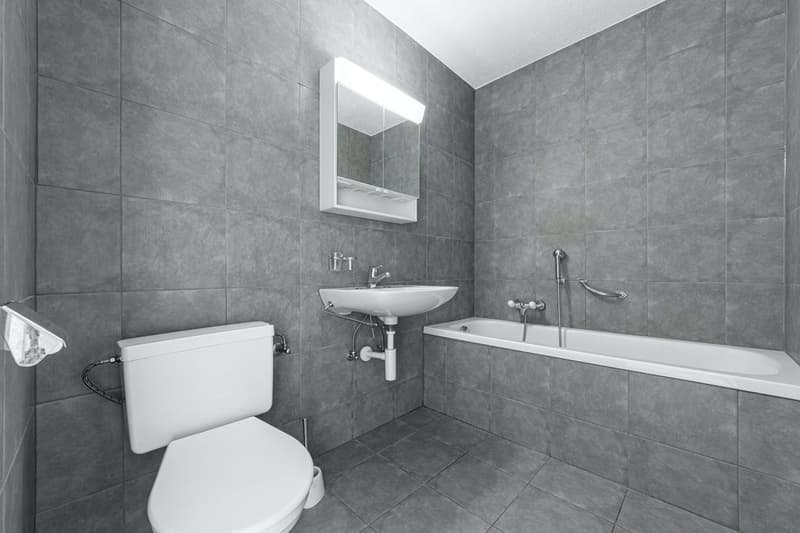 A saisir ! Charmant appartement dans un quartier résidentiel à Sion! (5)
