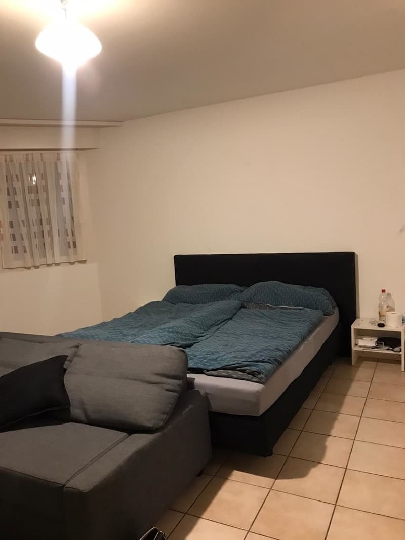 A saisir ! Splendide studio à deux pas du lac ! (4)