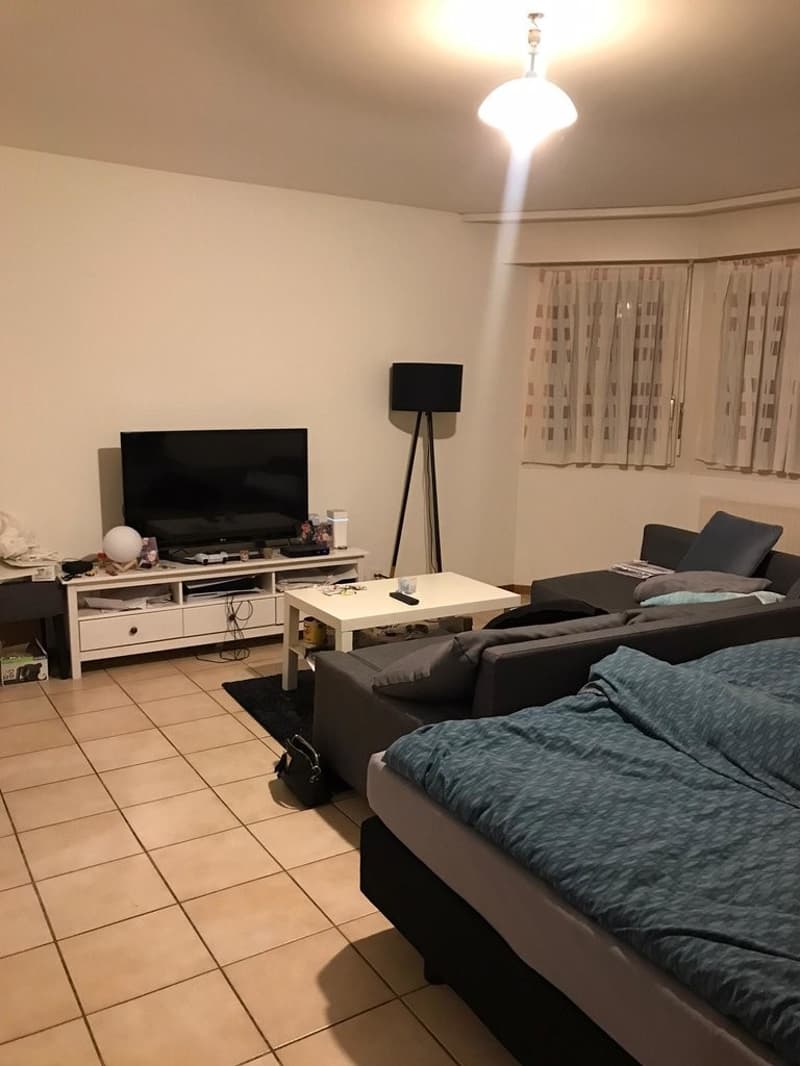 A saisir ! Splendide studio à deux pas du lac ! (3)