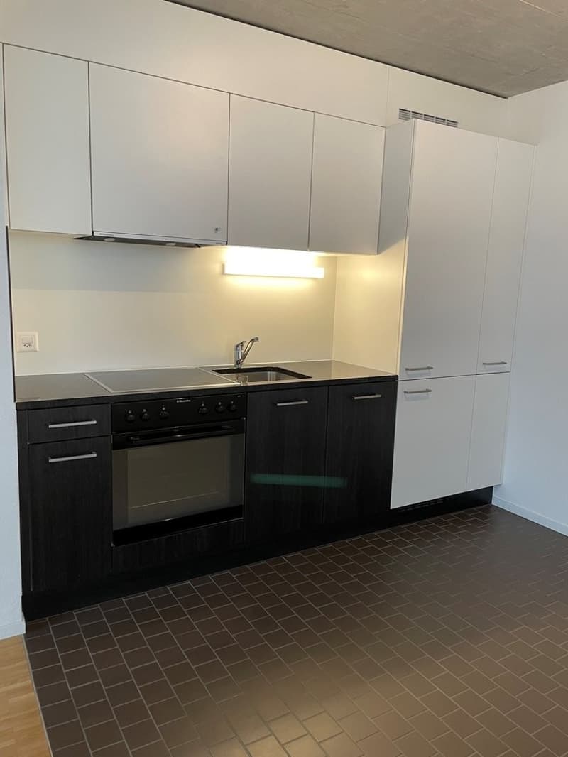 Splendide appartement au coeur de Sion ! (3)
