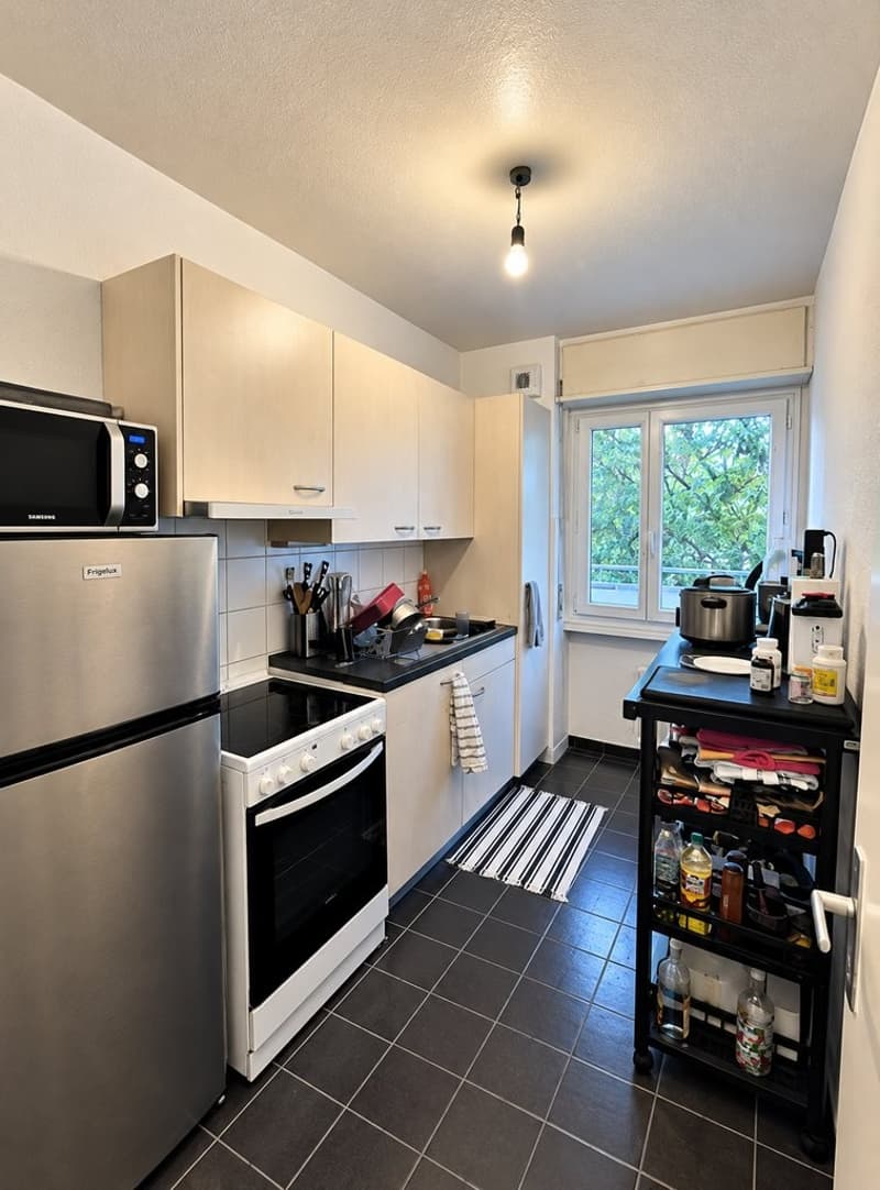 Cuisine_etroite_moderne_et_fonctionnelle.png