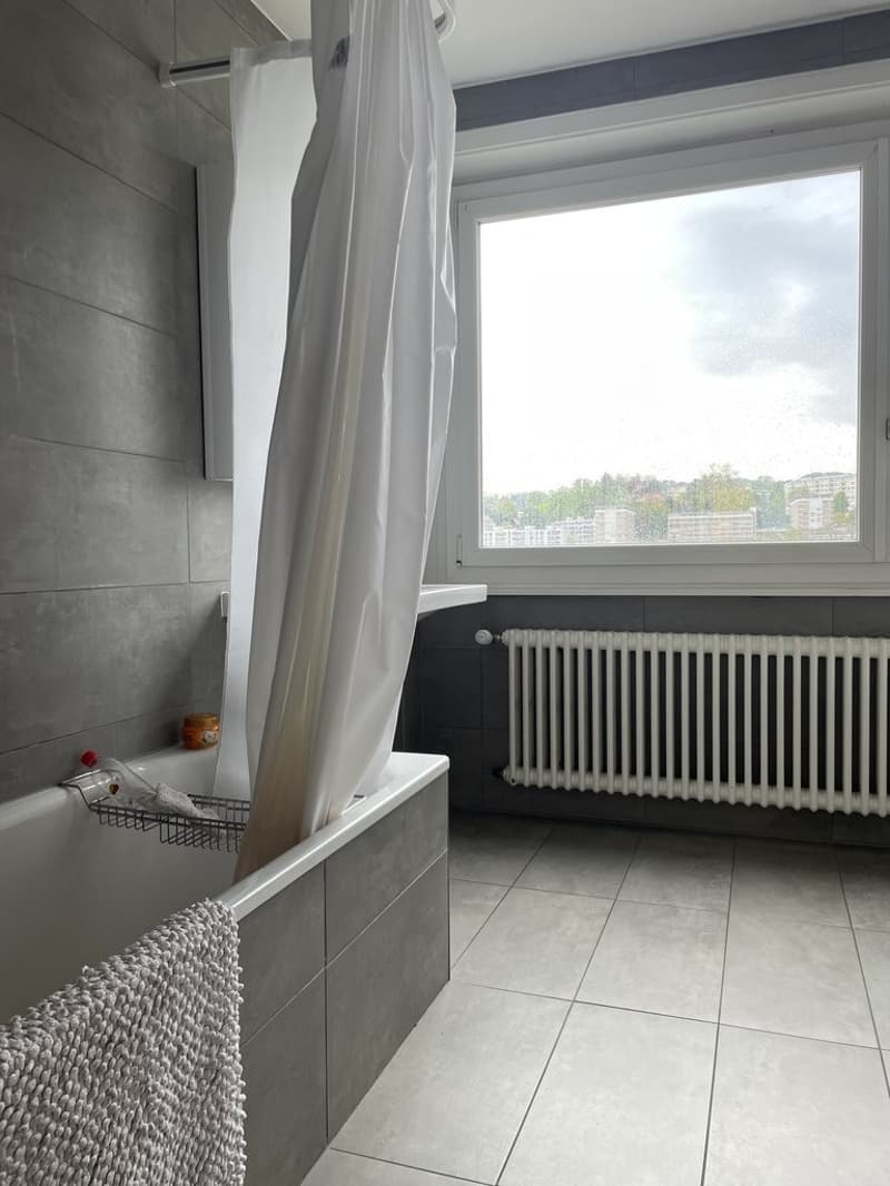 A saisir ! Spacieux logement au coeur de Renens ! (9)
